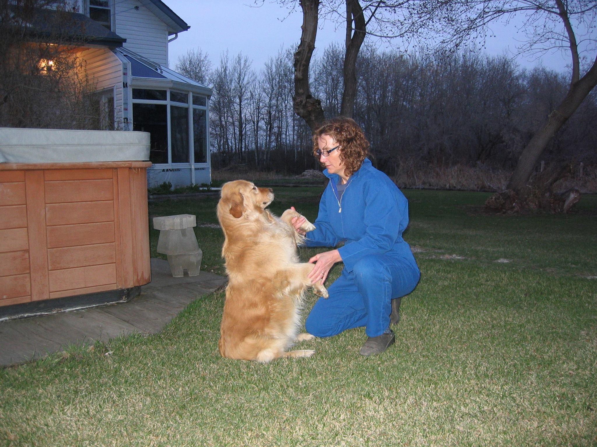 Certified Canine Rehabilitation Therapist
